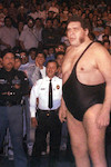 Image of André the Giant