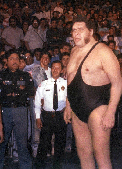 Image of André the Giant