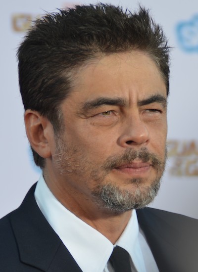 Image of Benicio del Toro