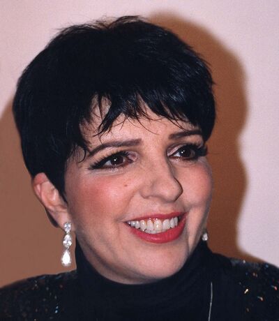 Image of Liza Minnelli