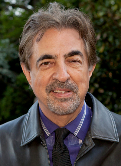 Image of Joe Mantegna