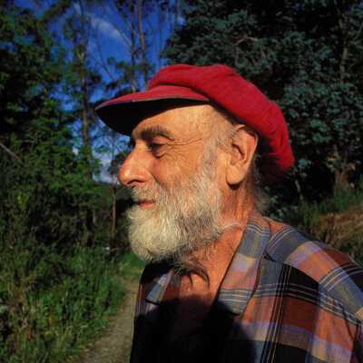 Image of Friedensreich Hundertwasser