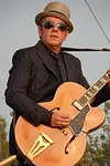 Image of Elvis Costello