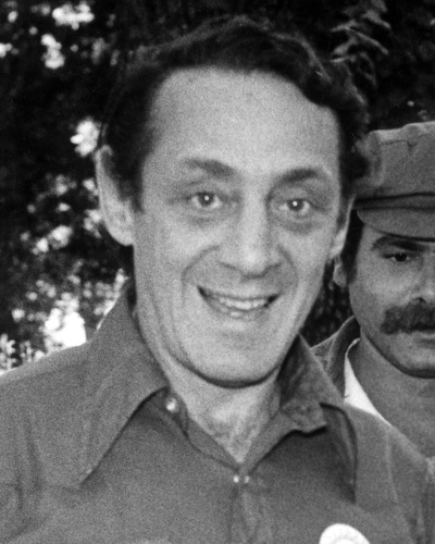 Image of Harvey Milk