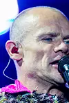 Image of Flea (musician)