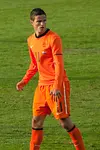 Image of Ibrahim Afellay