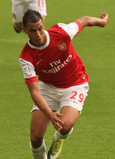 Image of Marouane Chamakh