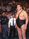 Image of AndrΓ© the Giant