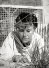 Image of Harper Lee
