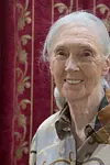 Image of Jane Goodall