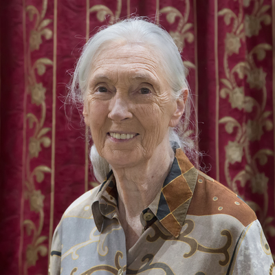 Image of Jane Goodall